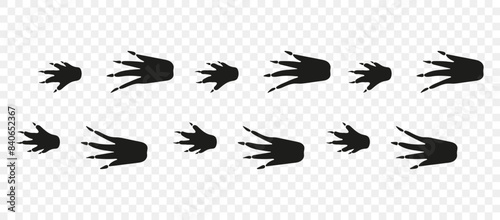 Crocodile paws. Footpath trail of animals. Paw foot trail print of crocodile on white background. Vector animal steps in black color.