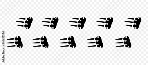 Echidna paws. Footpath trail of animals. Paw foot trail print of echidna on white background. Vector animal steps in black color.