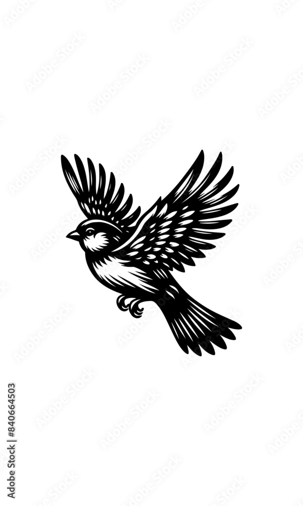 Obraz premium eagle with wings