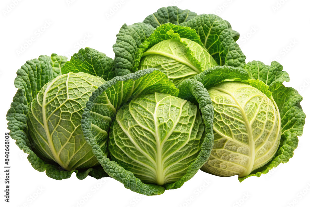 cabbage isolated on a transparent background cabbage isolated on a transparent background
