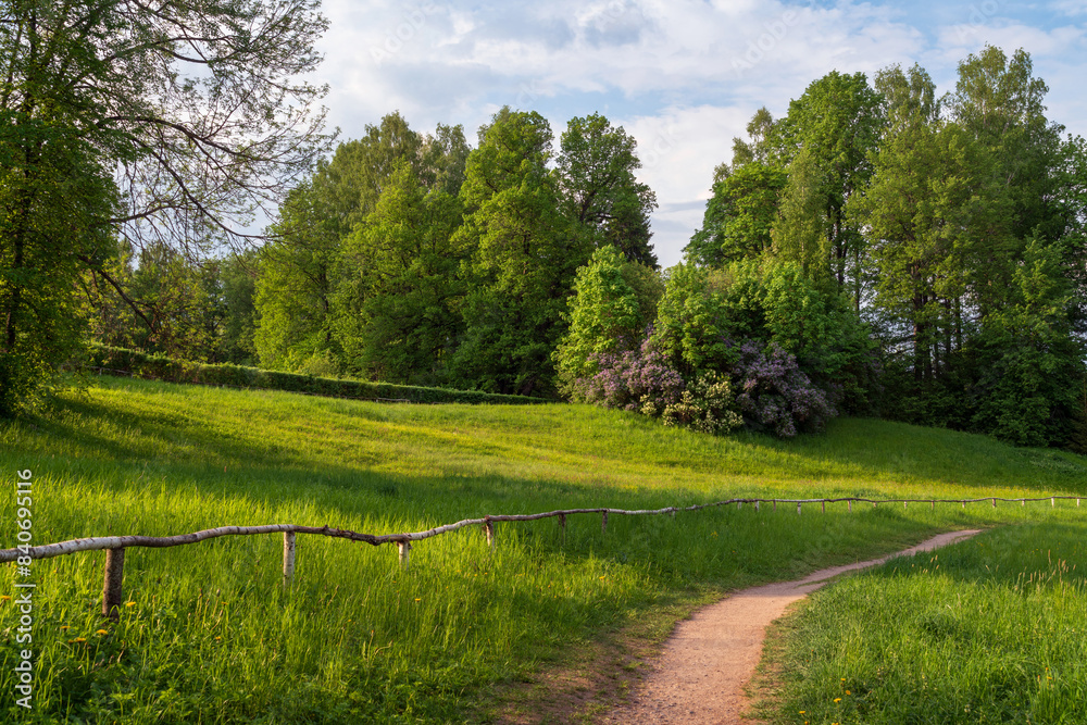 Obraz premium Slavyanka River Valley in the landscape part of the Pavlovsk Palace and Park Complex on a sunny summer day, Pavlovsk, Saint Petersburg, Russia