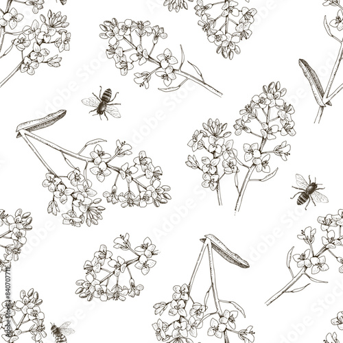 Seamless pattern with bees pollinating rapeseed