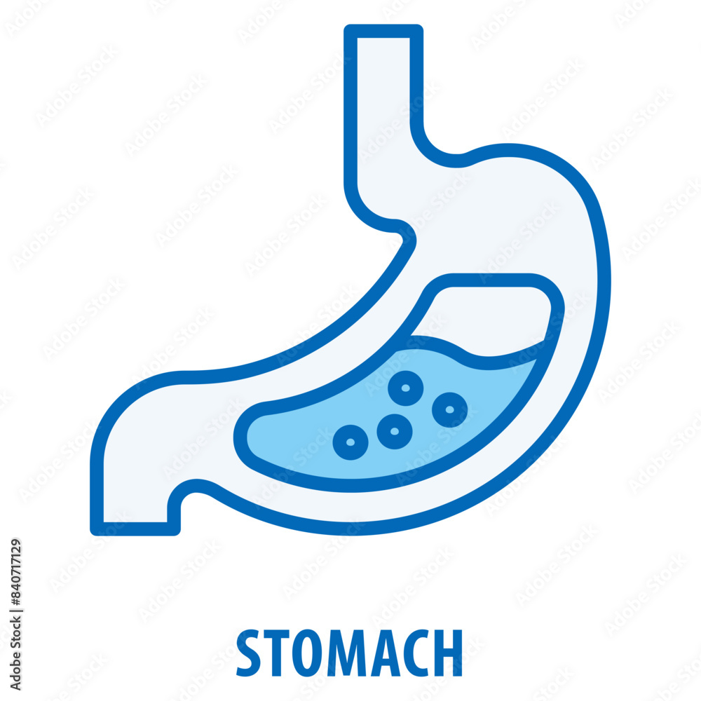 Stomach Icon simple and easy to edit for your design elements