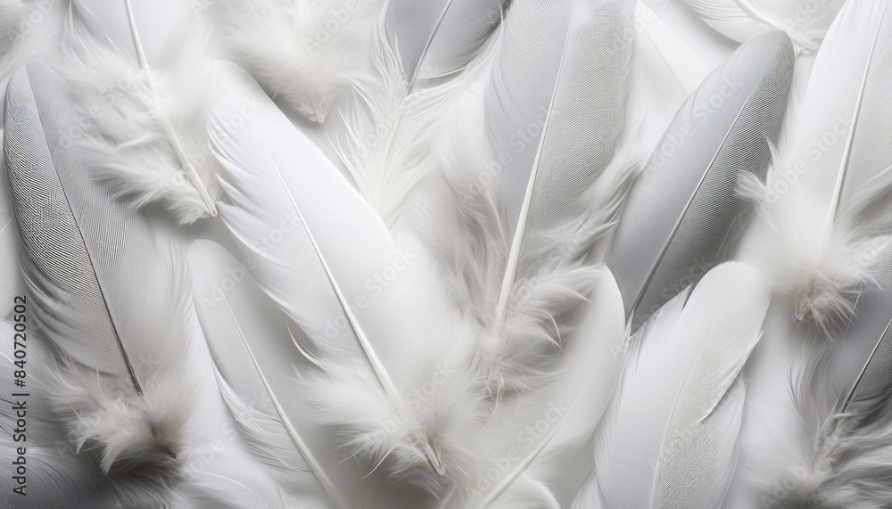 Fototapeta premium Delicate feather textures in soft whites and greys, elegant nature background calming gentle elegant texture background, decoration