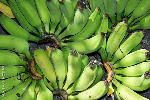 Bunches of green banana on the ground
