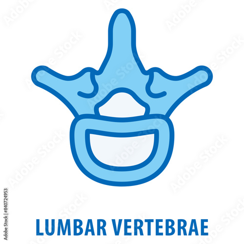 lumbar vertebrae Icon simple and easy to edit for your design elements