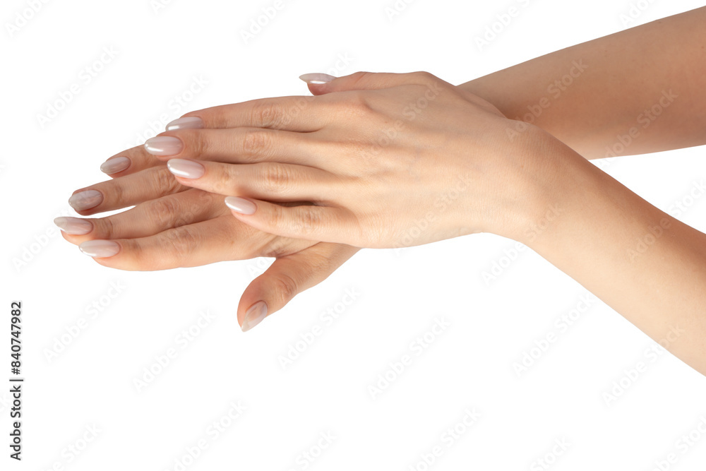 Woman hands isolated on a white background. Woman hands isolated on a white background.