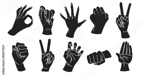 Set of drawn human hands. A set of hands in a collection of various gestures. illustration, vector