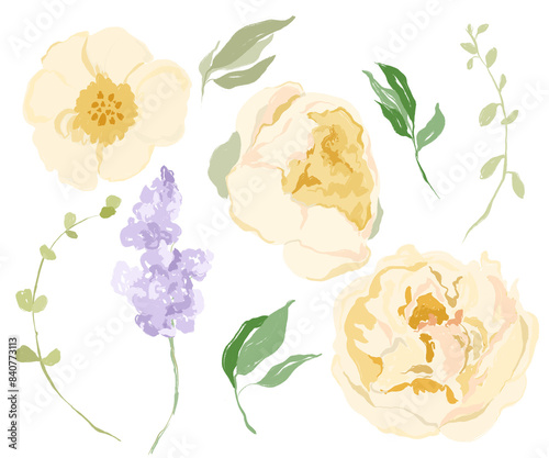 Watercolor abstract flower set of narcissus  peony and lilac. Hand drawn wildflowers isolated on white background. Holiday Illustration for design  print  fabric or background.