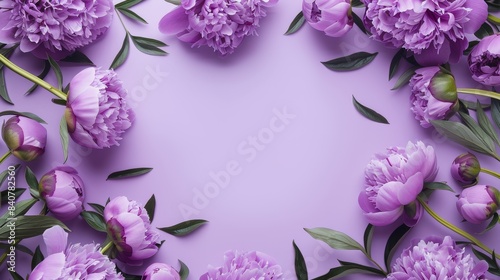 Graceful lilac background framed by lilac purple peony flowers, perfect for sign design, wedding invitations, cosmetic product displays, Mother's Day, Valentine's, and Woman's Day, with copy space