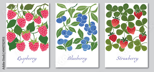 Set of banners with berries. Raspberries, blueberries and strawberries.