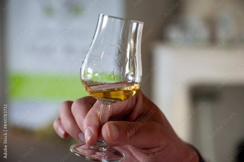 Obraz premium Enologist tastis and sniffs cognac spirit aged in old dark French oak barrels in cellar distillery house, Cognac white wine region, Charente, Segonzac, Grand Champagne, France