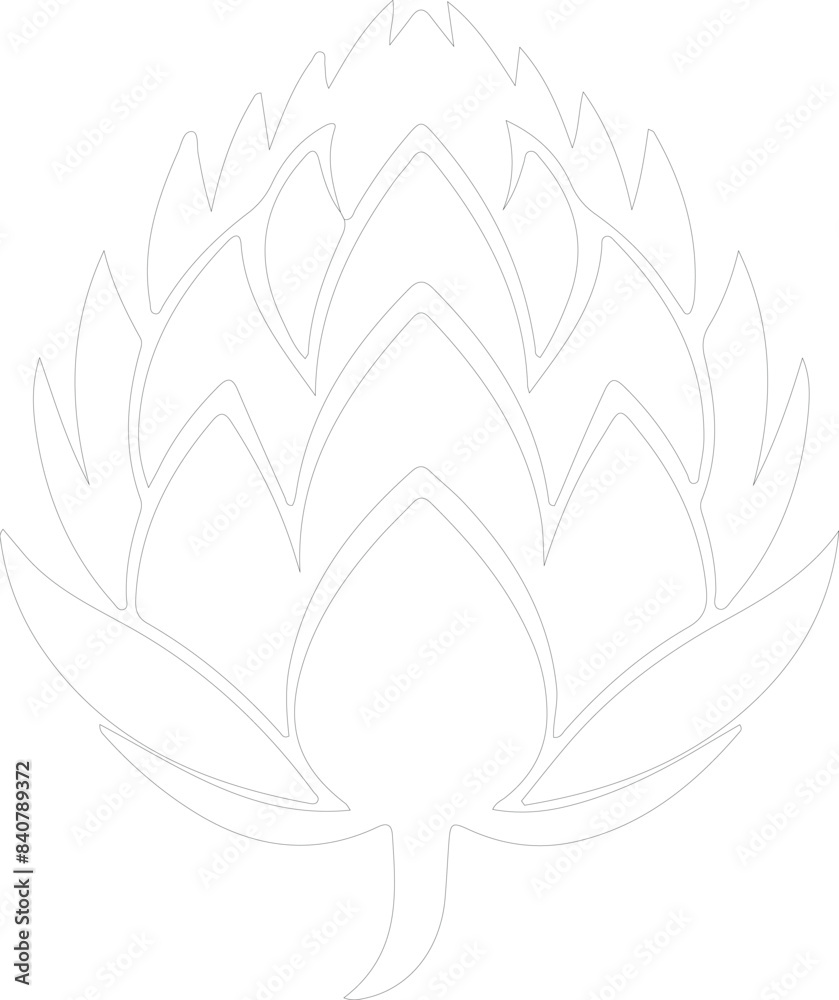 Fototapeta premium artichoke outline