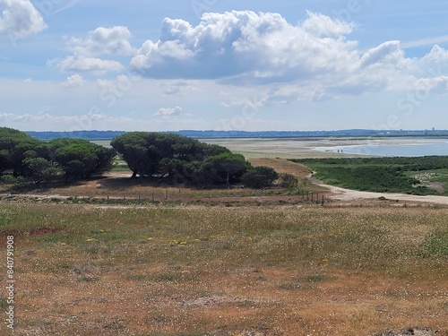 pointe de Pen-Bron, La Turballe, Loire Atlantique, Pays de Loire, France, Europe