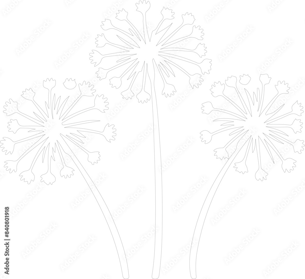 dandelion greens outline dandelion greens outline