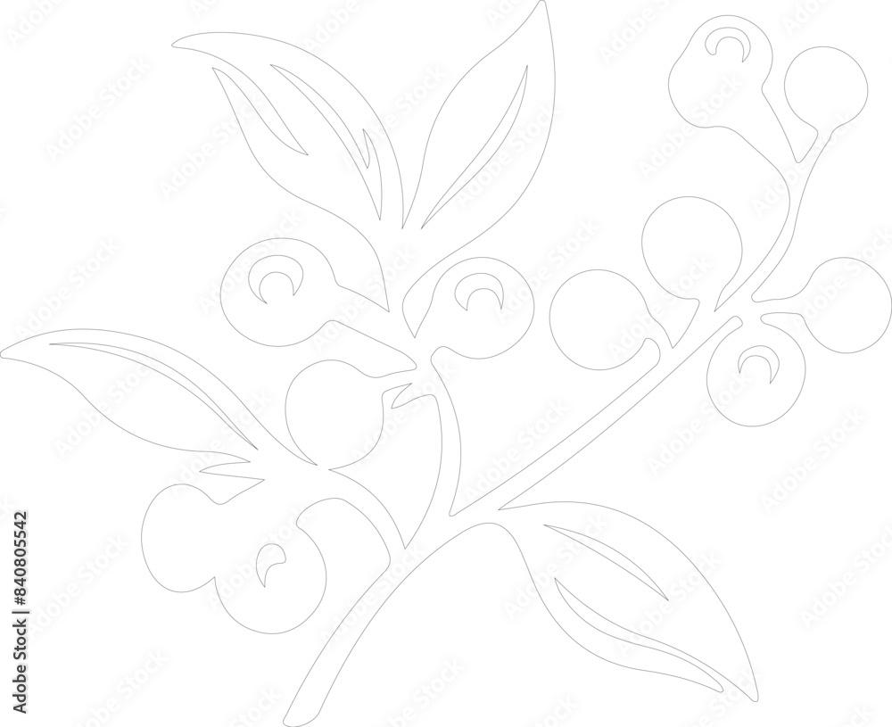 lingonberry outline lingonberry outline