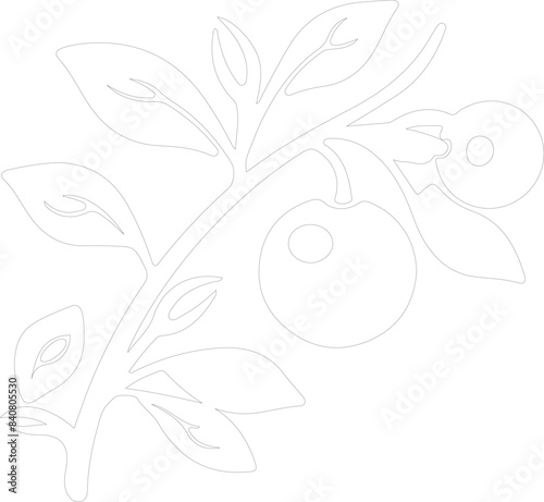 lingonberry outline