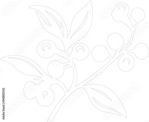 lingonberry outline