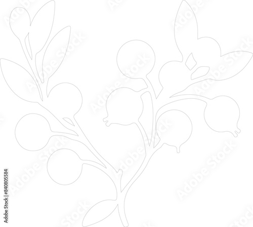 lingonberry outline