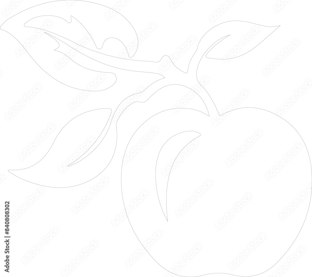 Obraz premium nectarine outline