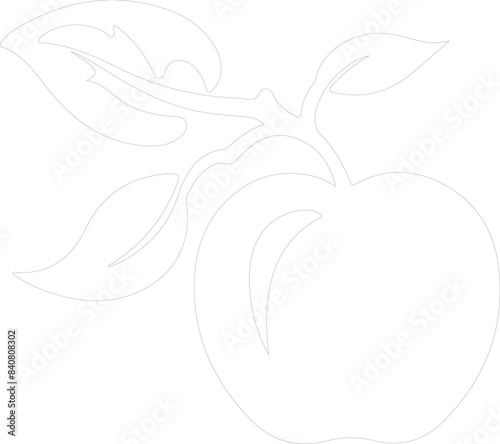 nectarine outline