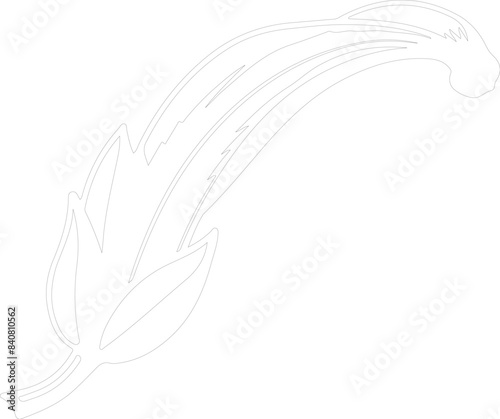 plantain outline