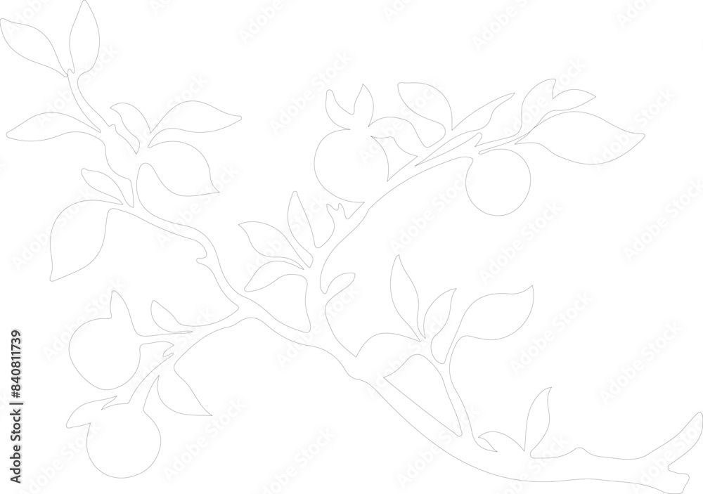 Fototapeta premium prune outline