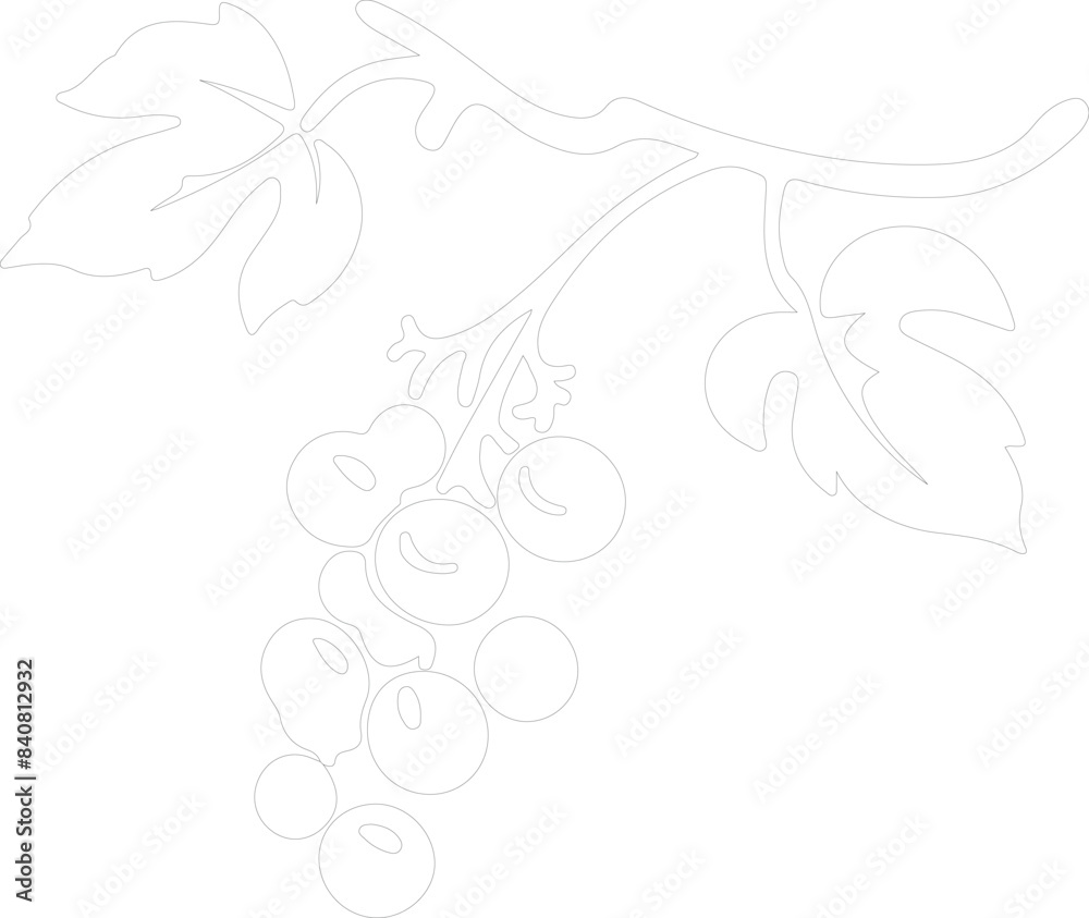 Obraz premium raisin outline