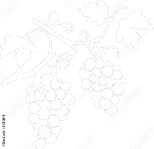 raisin outline