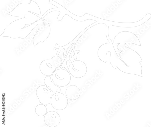 raisin outline