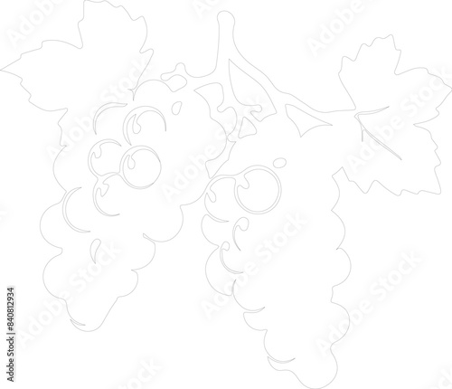 raisin outline
