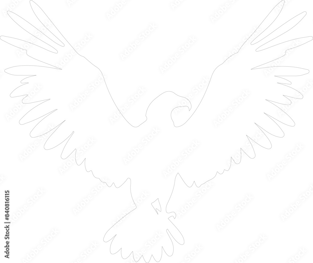 Obraz premium vulture outline