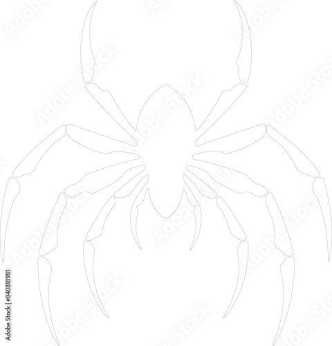 whip scorpion outline