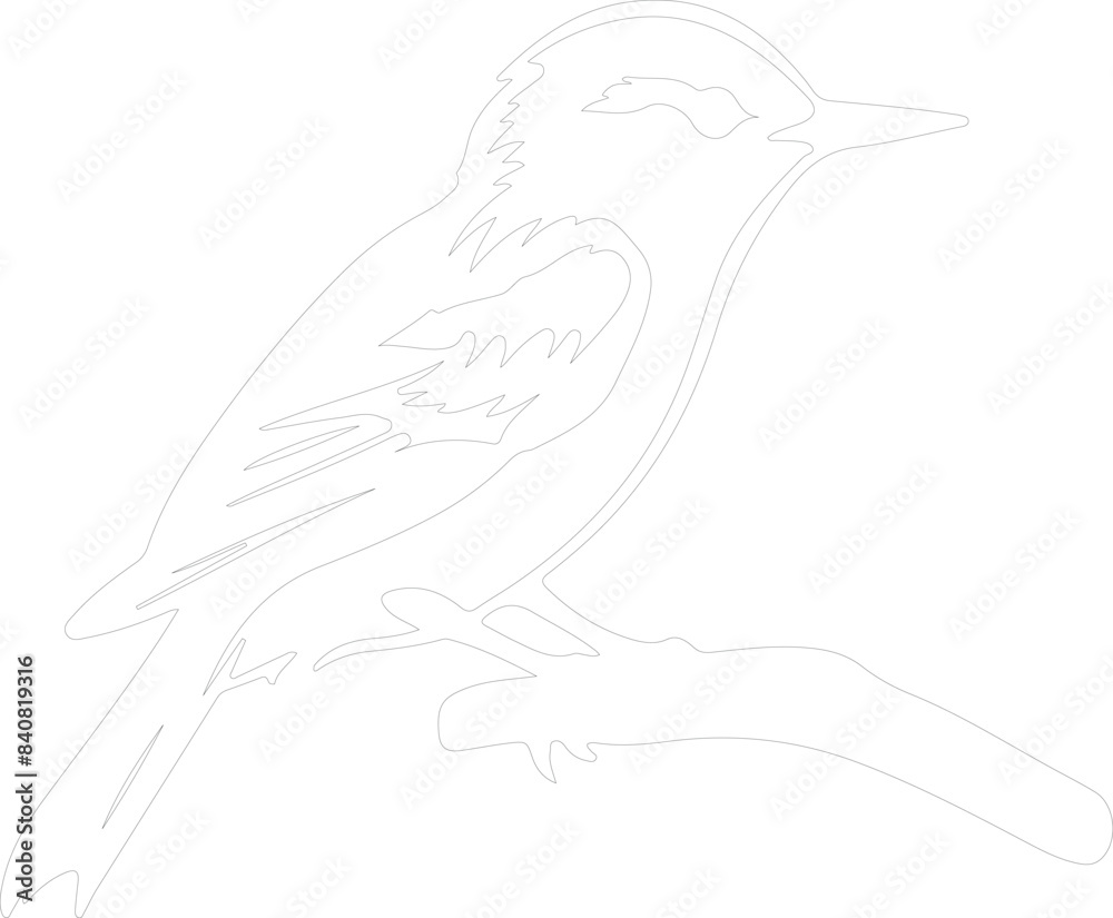 white-breasted nuthatch outline white-breasted nuthatch outline