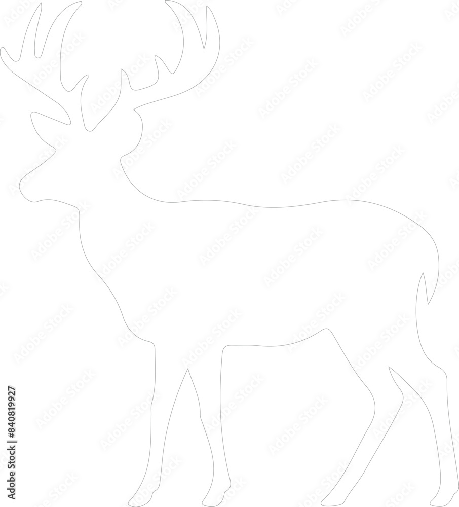 Fototapeta premium white-tailed deer outline