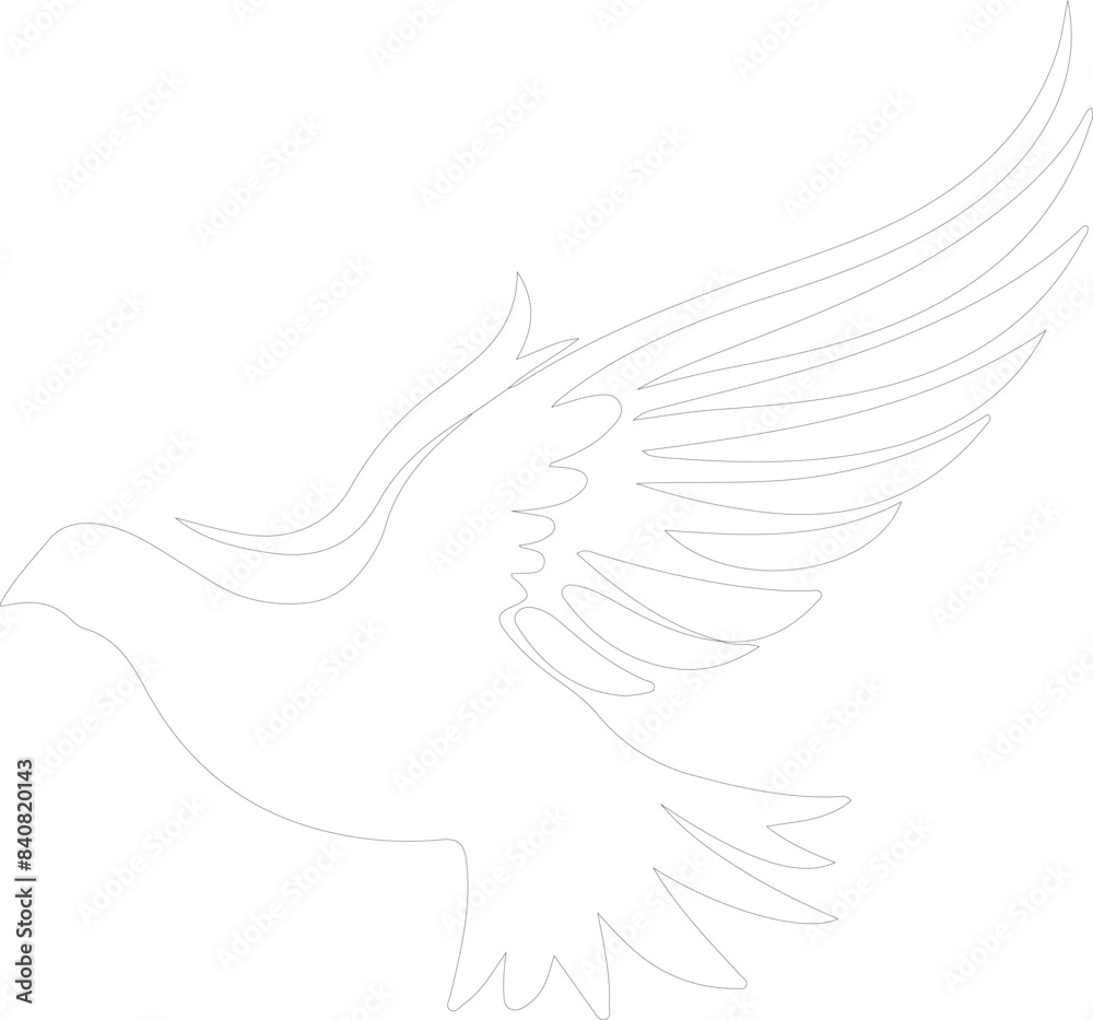 white dove outline white dove outline