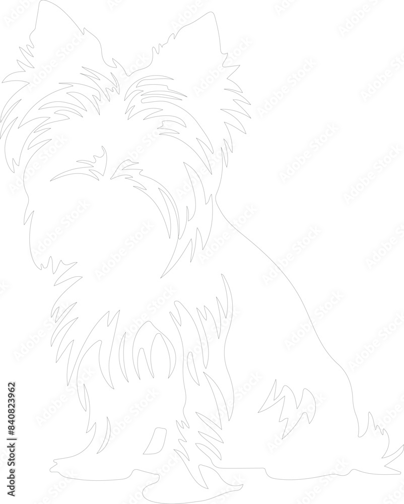 Obraz premium Yorkshire terrier outline