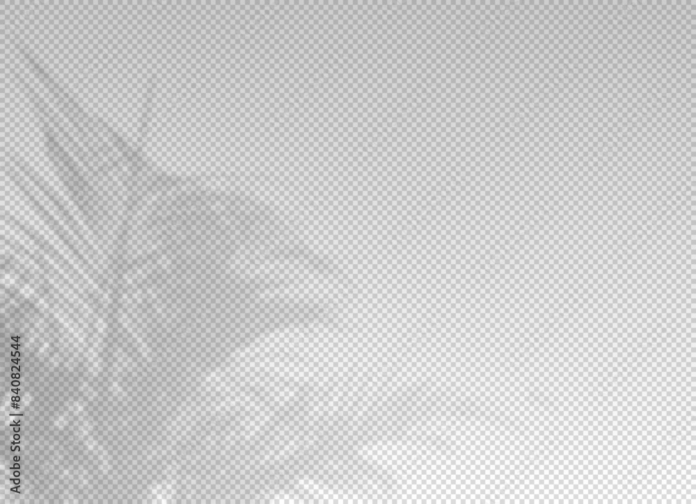 Fototapeta premium Shadow of leaf from window. Shadows palm leaves isolated on transparent background. Reflected flowers for effects overlay. Plants shades. Leafes tree. Light sunshine floral for summer design. Vector