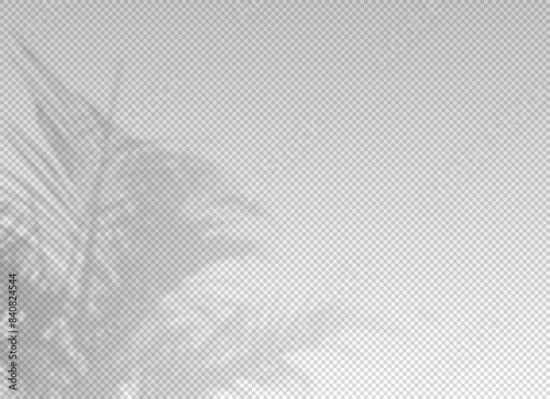 Shadow of leaf from window. Shadows palm leaves isolated on transparent background. Reflected flowers for effects overlay. Plants shades. Leafes tree. Light sunshine floral for summer design. Vector