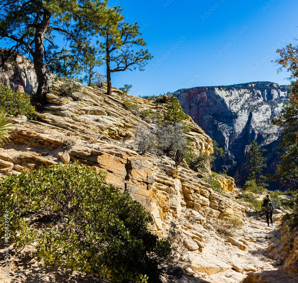 Female Hiker Below Sandstone Cliffs on The West Rim Trail, Zion National Park, Utah, USA Female Hiker Below Sandstone Cliffs on The West Rim Trail, Zion National Park, Utah, USA