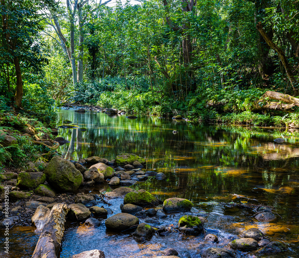 Reflections on Blue Green Waters of Ho'opi'i Stream, Kapa'a, Kauai, Hawaii, USA Reflections on Blue Green Waters of Ho'opi'i Stream, Kapa'a, Kauai, Hawaii, USA