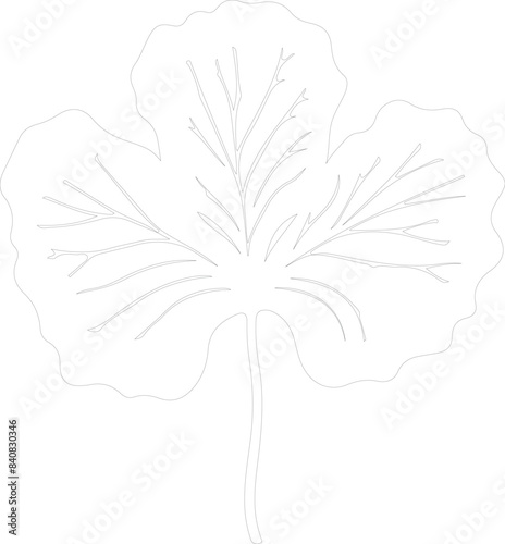 taro outline