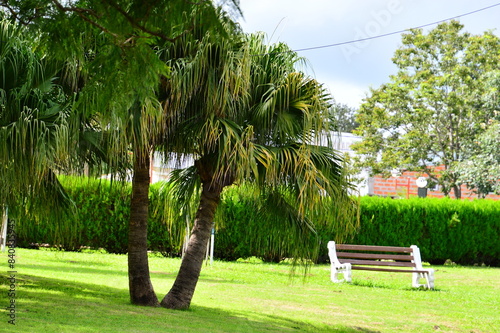 plaza con palmeras y banco para disfrutar de la tarde