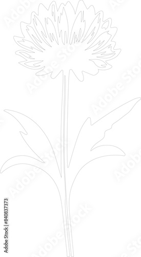 Wallpaper Mural cornflower outline Torontodigital.ca