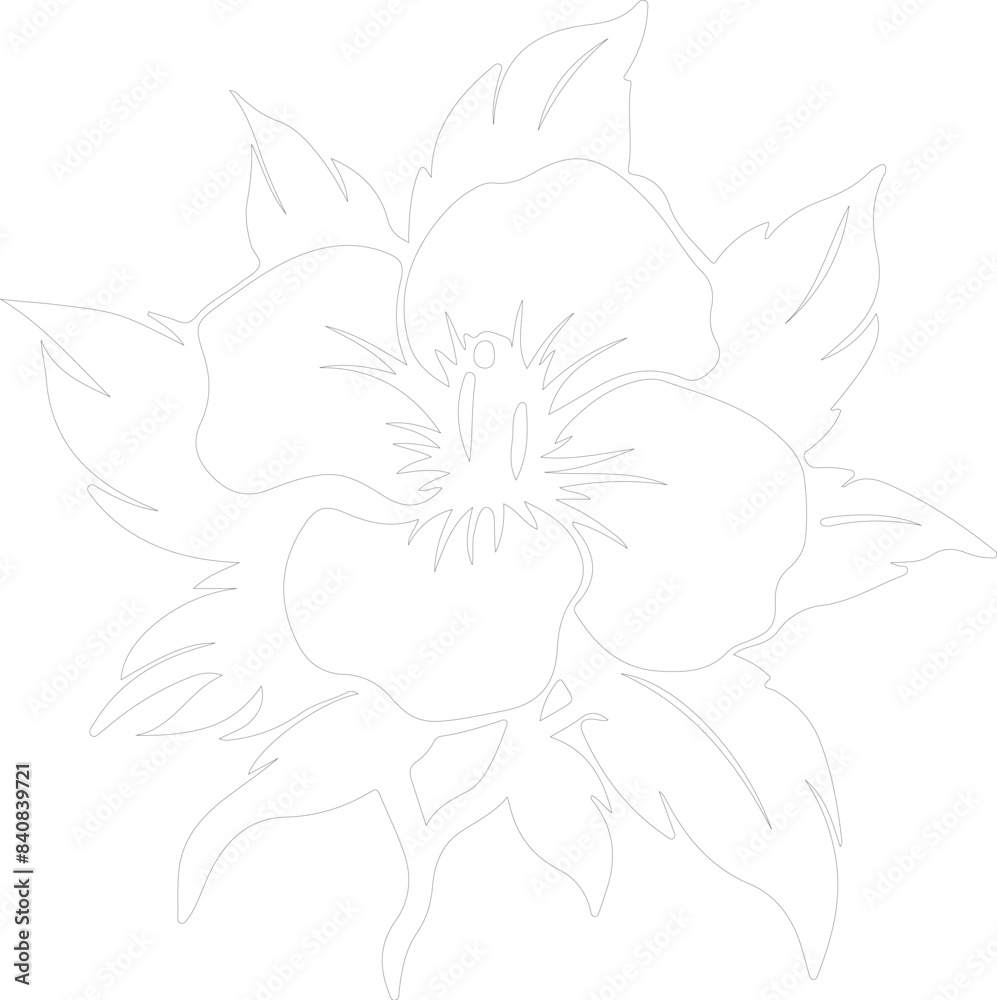 Fototapeta premium gardenia outline