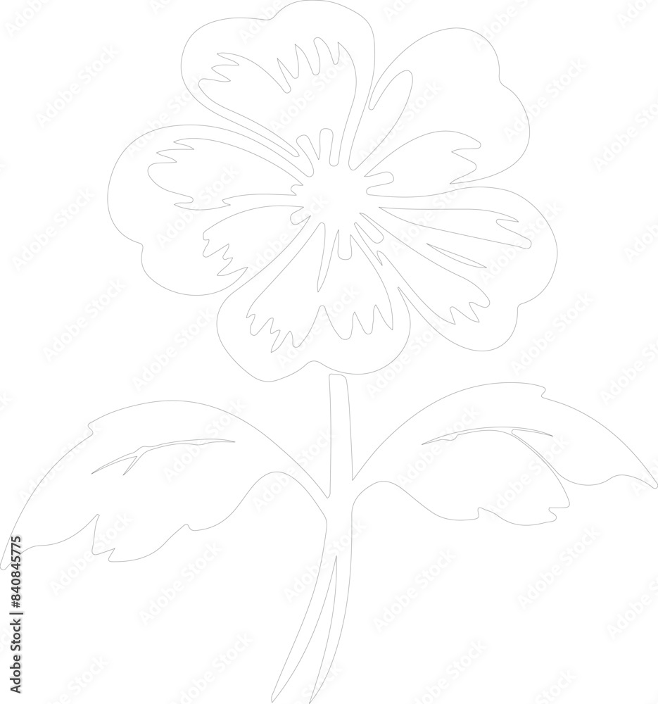 Obraz premium primrose outline
