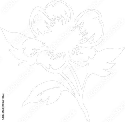 wild prairie rose outline