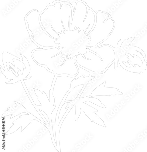 wild prairie rose outline