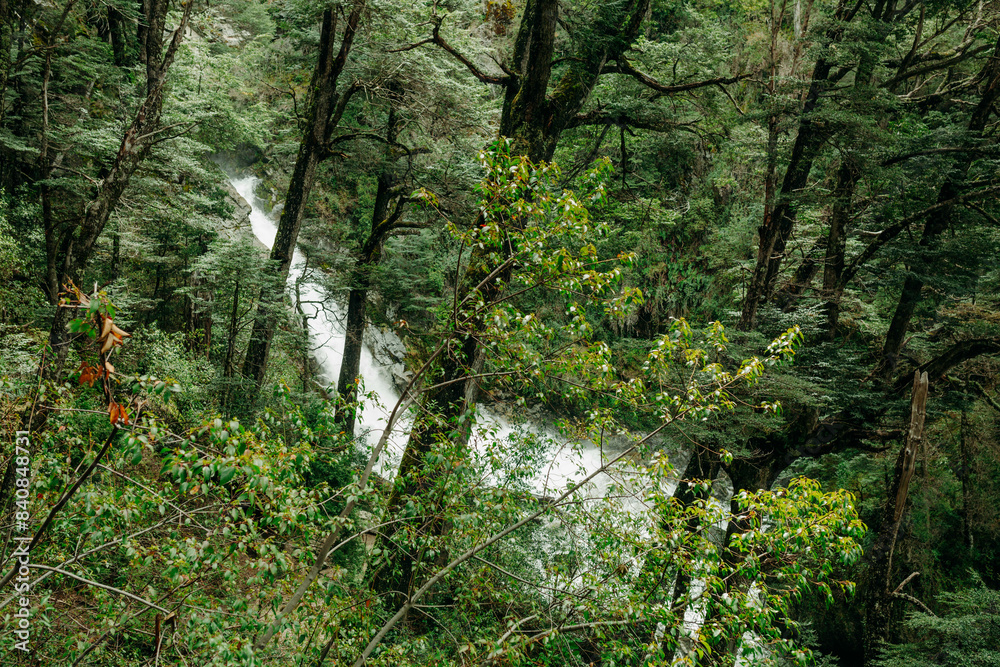 Fototapeta premium waterfall in the forest
