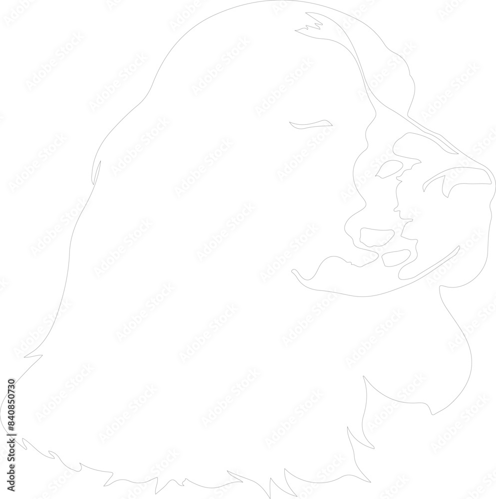 American Cocker Spaniel outline American Cocker Spaniel outline